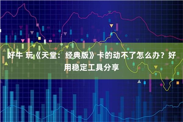 好牛 玩《天堂：经典版》卡的动不了怎么办？好用稳定工具分享