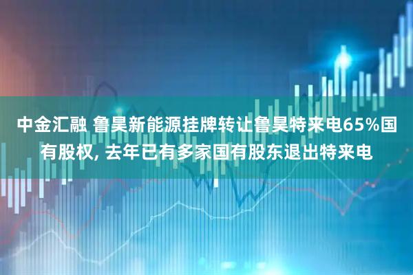 中金汇融 鲁昊新能源挂牌转让鲁昊特来电65%国有股权, 去年已有多家国有股东退出特来电