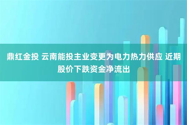 鼎红金投 云南能投主业变更为电力热力供应 近期股价下跌资金净流出