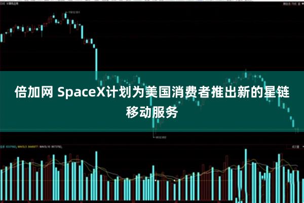 倍加网 SpaceX计划为美国消费者推出新的星链移动服务