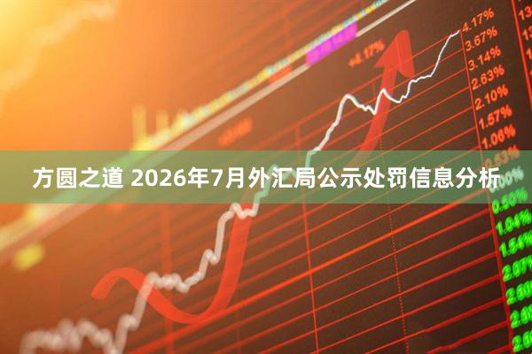 方圆之道 2026年7月外汇局公示处罚信息分析